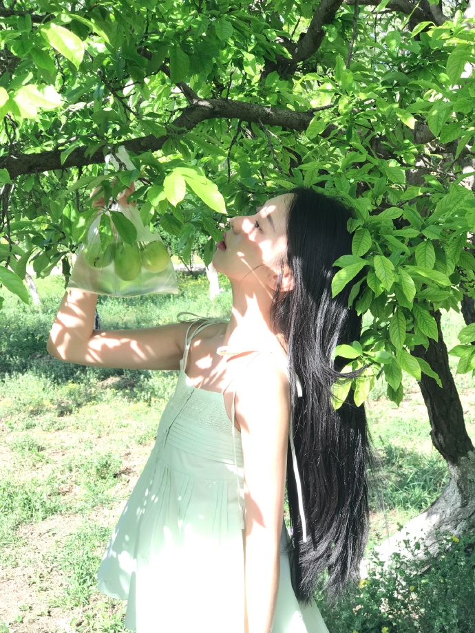 大话西游之大圣娶亲 封面